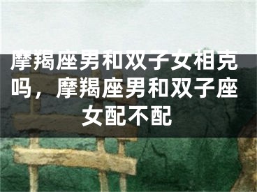 摩羯座男和双子女相克吗，摩羯座男和双子座女配不配