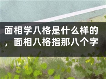 面相学八格是什么样的，面相八格指那八个字