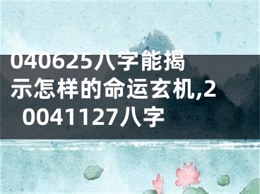 040625八字能揭示怎样的命运玄机,20041127八字