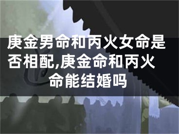 庚金男命和丙火女命是否相配,庚金命和丙火命能结婚吗