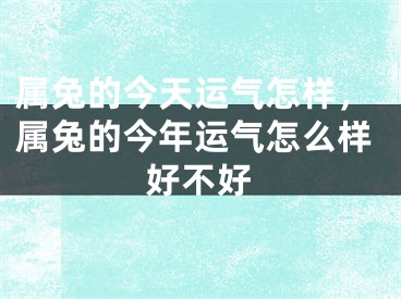 属兔的今天运气怎样，属兔的今年运气怎么样好不好
