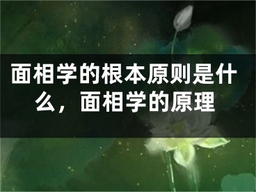 面相学的根本原则是什么，面相学的原理