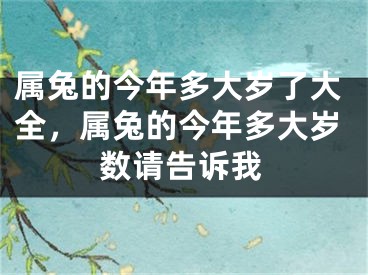 属兔的今年多大岁了大全，属兔的今年多大岁数请告诉我