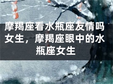摩羯座看水瓶座友情吗女生，摩羯座眼中的水瓶座女生