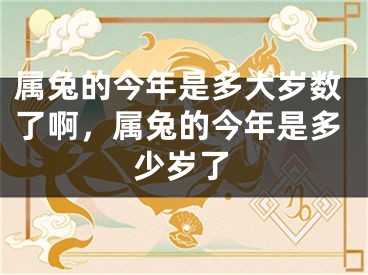 属兔的今年是多大岁数了啊，属兔的今年是多少岁了