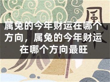 属兔的今年财运在哪个方向，属兔的今年财运在哪个方向最旺