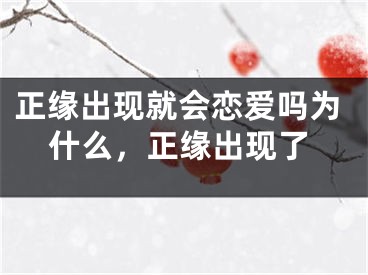 正缘出现就会恋爱吗为什么,正缘出现了