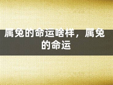 属兔的命运啥样，属兔的命运