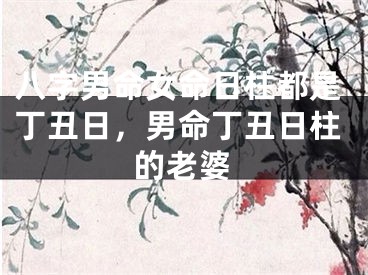 八字男命女命日柱都是丁丑日，男命丁丑日柱的老婆