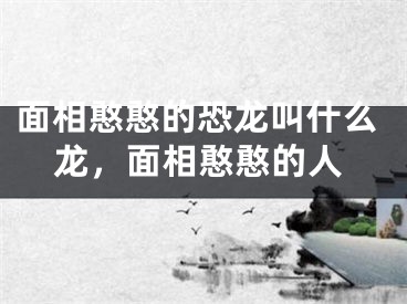 面相憨憨的恐龙叫什么龙，面相憨憨的人