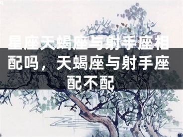 星座天蝎座与射手座相配吗，天蝎座与射手座配不配