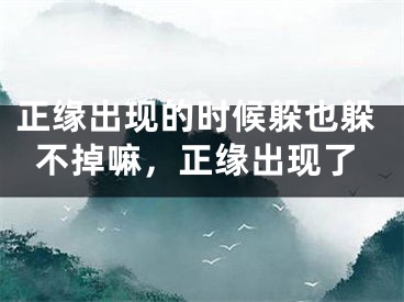 正缘出现的时候躲也躲不掉嘛，正缘出现了