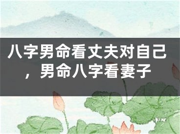 八字男命看丈夫对自己，男命八字看妻子