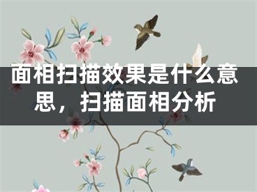 面相扫描效果是什么意思，扫描面相分析