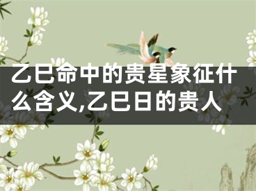 乙巳命中的贵星象征什么含义,乙巳日的贵人
