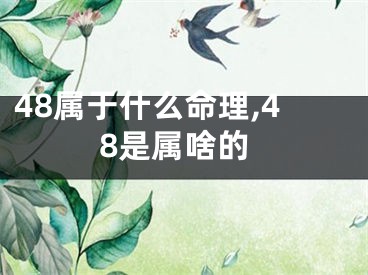 48属于什么命理,48是属啥的
