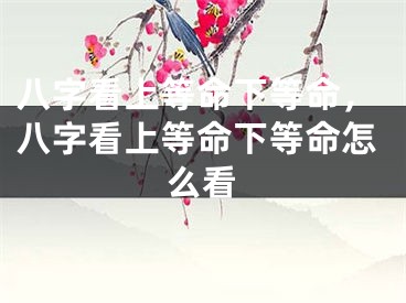 八字看上等命下等命，八字看上等命下等命怎么看