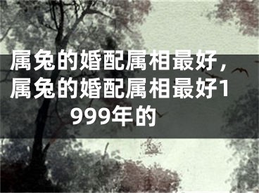 属兔的婚配属相最好，属兔的婚配属相最好1999年的