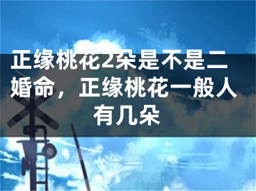 正缘桃花2朵是不是二婚命，正缘桃花一般人有几朵