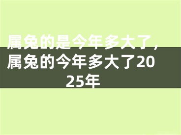 属兔的是今年多大了，属兔的今年多大了2025年
