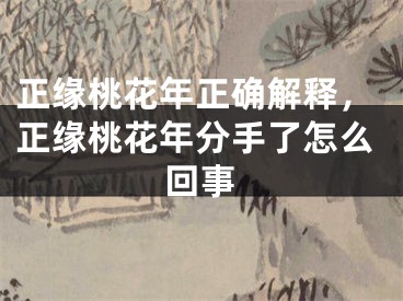 正缘桃花年正确解释,正缘桃花年分手了怎么回事