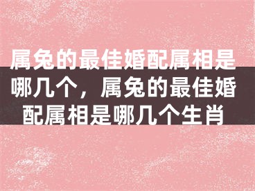 属兔的最佳婚配属相是哪几个，属兔的最佳婚配属相是哪几个生肖