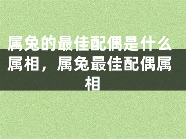 属兔的最佳配偶是什么属相，属兔最佳配偶属相