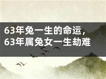 63年兔一生的命运，63年属兔女一生劫难