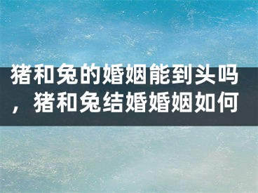 猪和兔的婚姻能到头吗，猪和兔结婚婚姻如何