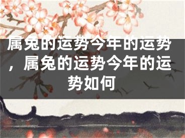 属兔的运势今年的运势，属兔的运势今年的运势如何