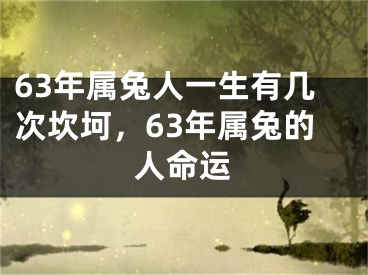 63年属兔人一生有几次坎坷,63年属兔的人命运