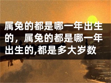 属兔的都是哪一年出生的,属兔的都是哪一年出生的,都是多大岁数