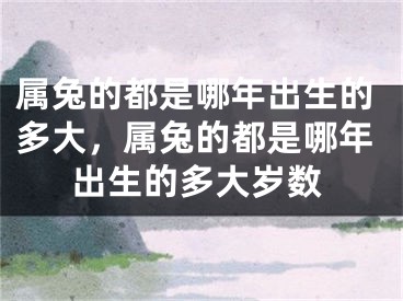 属兔的都是哪年出生的多大，属兔的都是哪年出生的多大岁数