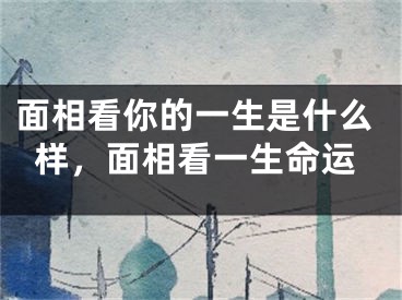 面相看你的一生是什么样，面相看一生命运