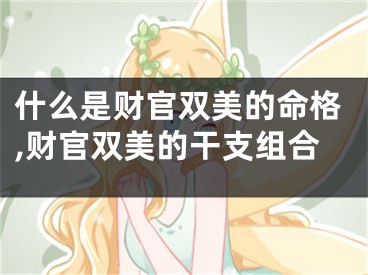 什么是财官双美的命格,财官双美的干支组合