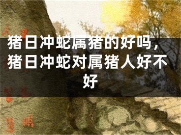 猪日冲蛇属猪的好吗，猪日冲蛇对属猪人好不好