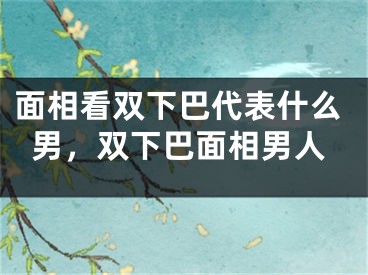 面相看双下巴代表什么男,双下巴面相男人