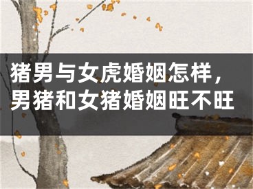 猪男与女虎婚姻怎样，男猪和女猪婚姻旺不旺