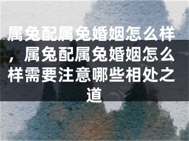 属兔配属兔婚姻怎么样，属兔配属兔婚姻怎么样需要注意哪些相处之道
