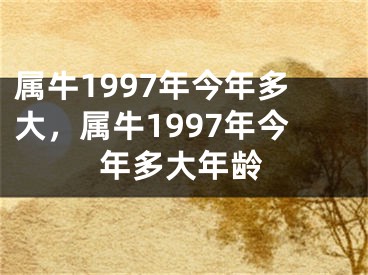 属牛1997年今年多大，属牛1997年今年多大年龄