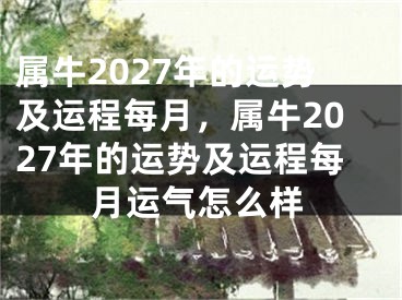 属牛2027年的运势及运程每月，属牛2027年的运势及运程每月运气怎么样
