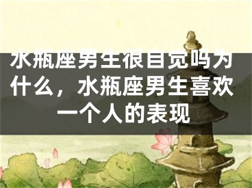 水瓶座男生很自觉吗为什么，水瓶座男生喜欢一个人的表现