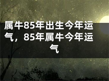 属牛85年出生今年运气，85年属牛今年运气