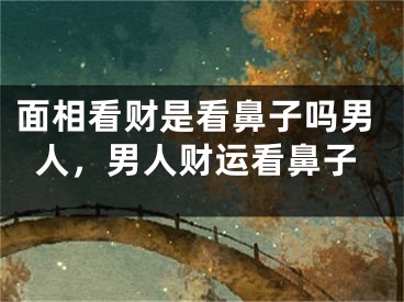 面相看财是看鼻子吗男人，男人财运看鼻子