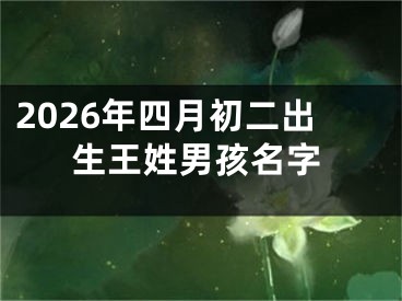 2026年四月初二出生王姓男孩名字