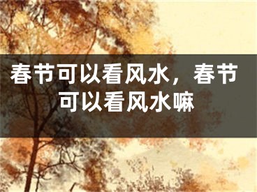 春节可以看风水，春节可以看风水嘛