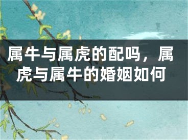 属牛与属虎的配吗，属虎与属牛的婚姻如何