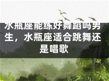 水瓶座能练好舞蹈吗男生，水瓶座适合跳舞还是唱歌