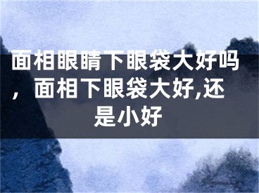 面相眼睛下眼袋大好吗，面相下眼袋大好,还是小好