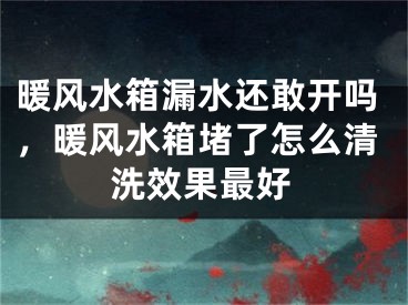 暖风水箱漏水还敢开吗，暖风水箱堵了怎么清洗效果最好